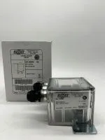 photo_2024-11-21_10-12-09