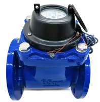 IMG_20250919_135823-no-bg-preview (carve.photos) 1