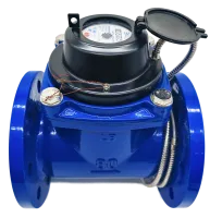 IMG_20251021_124503-no-bg-preview (carve.photos) 1