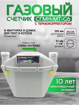 Счетчик газа СГМН-МТ-G6 250 левый г. Новогрудок